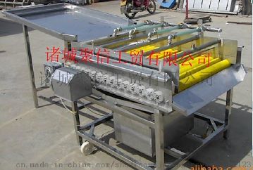 聚信JX大枣清洗流水线